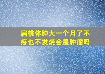 扁桃体肿大一个月了不疼也不发烧会是肿瘤吗