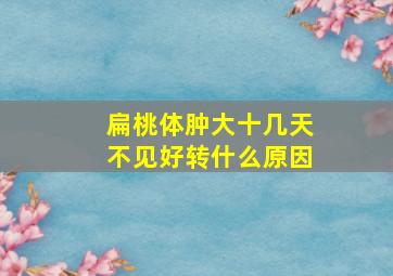 扁桃体肿大十几天不见好转什么原因