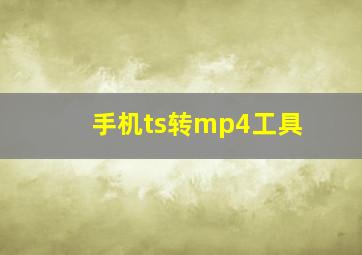 手机ts转mp4工具