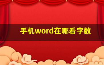 手机word在哪看字数