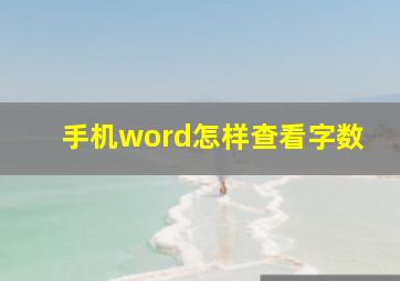 手机word怎样查看字数