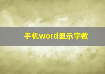 手机word显示字数