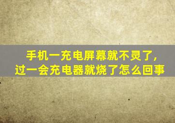 手机一充电屏幕就不灵了,过一会充电器就烧了怎么回事