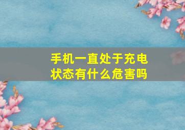 手机一直处于充电状态有什么危害吗