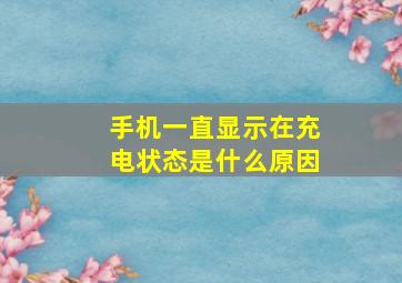 手机一直显示在充电状态是什么原因