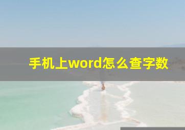 手机上word怎么查字数