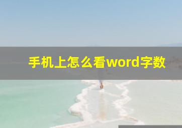 手机上怎么看word字数