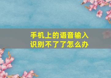 手机上的语音输入识别不了了怎么办