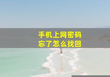 手机上网密码忘了怎么找回