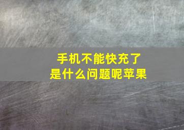 手机不能快充了是什么问题呢苹果