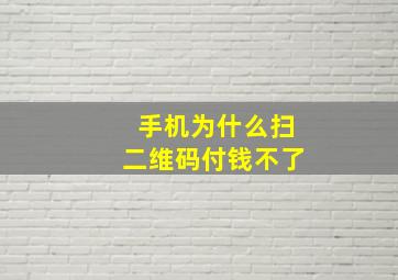 手机为什么扫二维码付钱不了