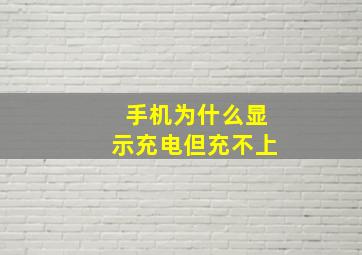 手机为什么显示充电但充不上