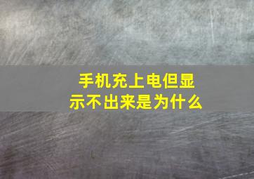 手机充上电但显示不出来是为什么