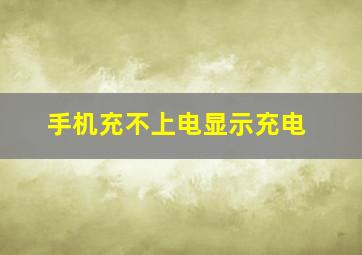 手机充不上电显示充电