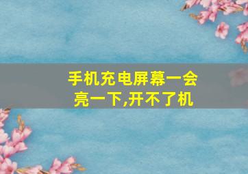 手机充电屏幕一会亮一下,开不了机