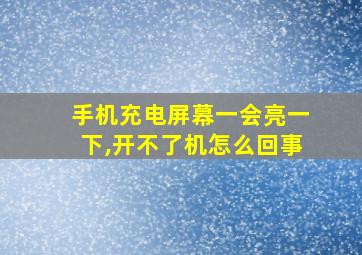 手机充电屏幕一会亮一下,开不了机怎么回事