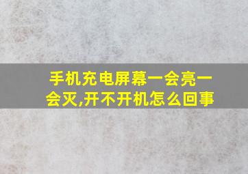 手机充电屏幕一会亮一会灭,开不开机怎么回事