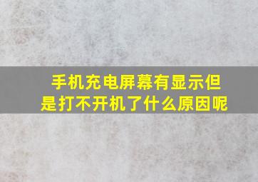 手机充电屏幕有显示但是打不开机了什么原因呢