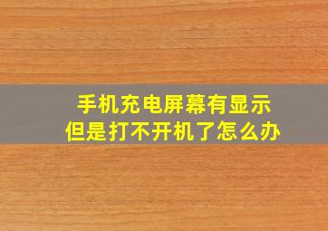 手机充电屏幕有显示但是打不开机了怎么办