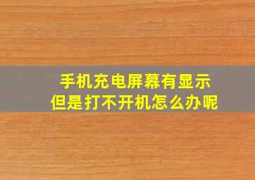 手机充电屏幕有显示但是打不开机怎么办呢