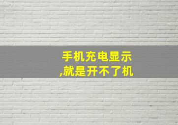 手机充电显示,就是开不了机