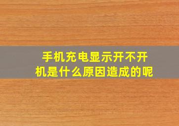 手机充电显示开不开机是什么原因造成的呢