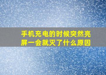 手机充电的时候突然亮屏一会就灭了什么原因