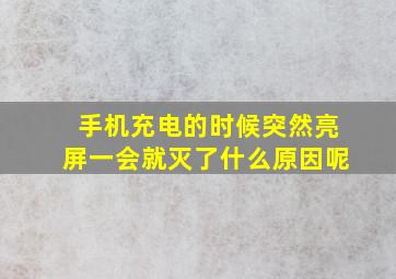 手机充电的时候突然亮屏一会就灭了什么原因呢