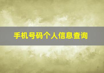 手机号码个人信息查询