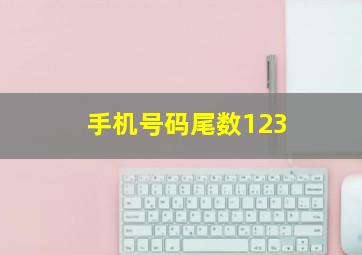 手机号码尾数123