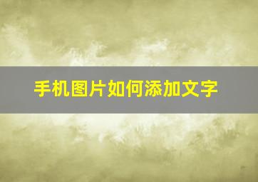 手机图片如何添加文字