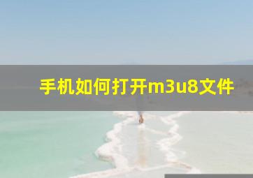 手机如何打开m3u8文件