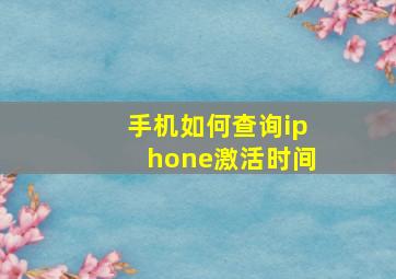 手机如何查询iphone激活时间