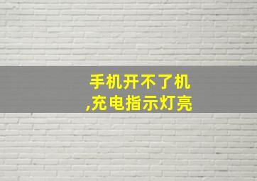 手机开不了机,充电指示灯亮