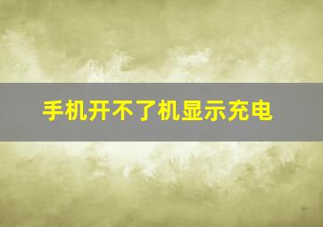 手机开不了机显示充电