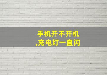 手机开不开机,充电灯一直闪