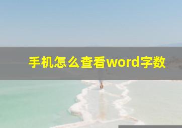 手机怎么查看word字数