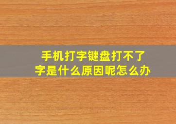 手机打字键盘打不了字是什么原因呢怎么办