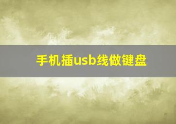 手机插usb线做键盘