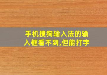 手机搜狗输入法的输入框看不到,但能打字