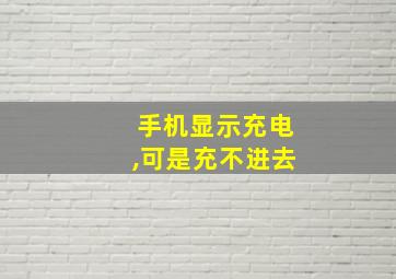 手机显示充电,可是充不进去