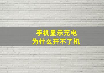 手机显示充电为什么开不了机