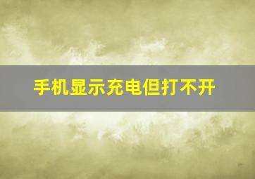 手机显示充电但打不开