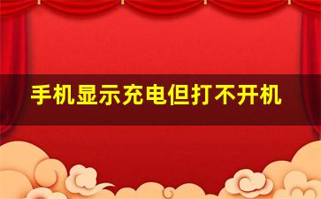 手机显示充电但打不开机