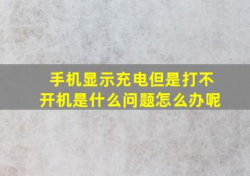 手机显示充电但是打不开机是什么问题怎么办呢