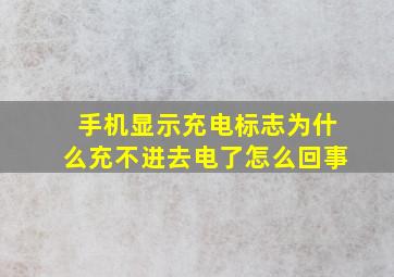 手机显示充电标志为什么充不进去电了怎么回事