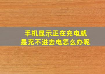 手机显示正在充电就是充不进去电怎么办呢