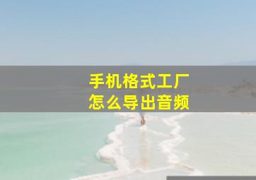 手机格式工厂怎么导出音频