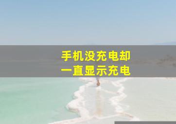 手机没充电却一直显示充电