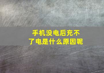 手机没电后充不了电是什么原因呢